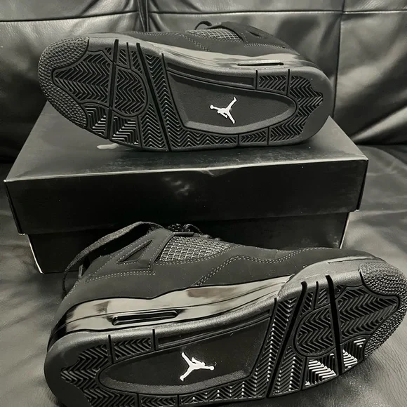 Air Jordan 4 Black Cat